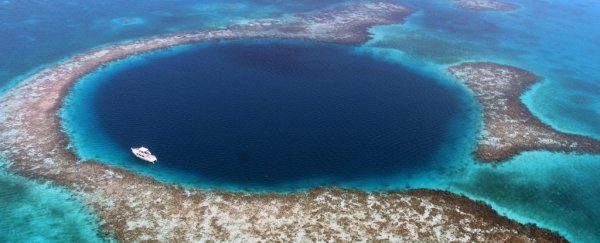 The Mysterious Tracks On The Bottom Of Belize S Blue Hole