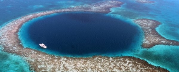 The 'mysterious tracks' on the bottom of Belize's Blue Hole have a simple explanation