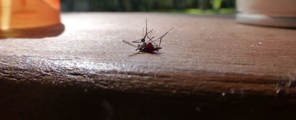 The world just got closer to a controversial mosquito 'wipe out' experiment