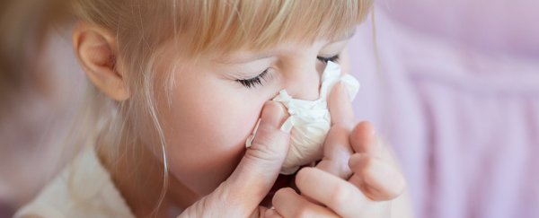 Exciting study shows some immune cells can fight every known flu virus
