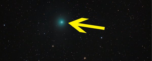 Don't miss this newly discovered, bright green comet streaking past Earth this week