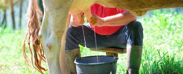 Deadly disease caused by raw milk has already put 19 US states on high alert