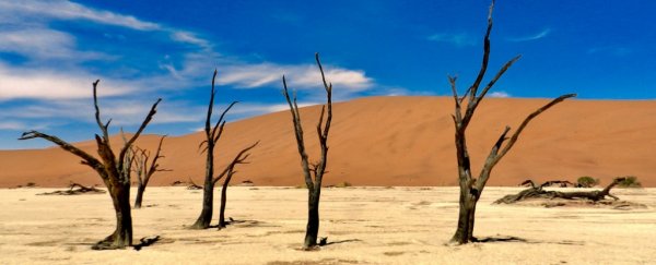 Scientists have found hidden evidence of ancient ice streams in the African desert