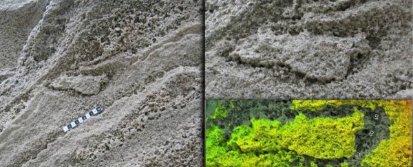 This footprint on Gibraltar could have been made by one of the last Neanderthals