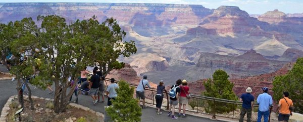 Somebody left buckets of radioactive uranium ore in a popular Grand Canyon attraction
