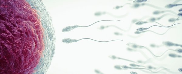These twins have strange semi-identical DNA, in only the second case ever discovered