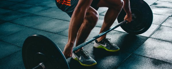Do you lose all your muscles if you take a break from the gym?
