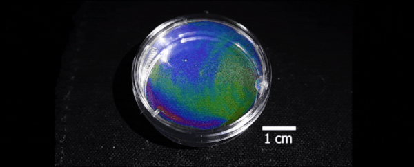 This crazy optical effect turns plain water into dazzling iridescent colours