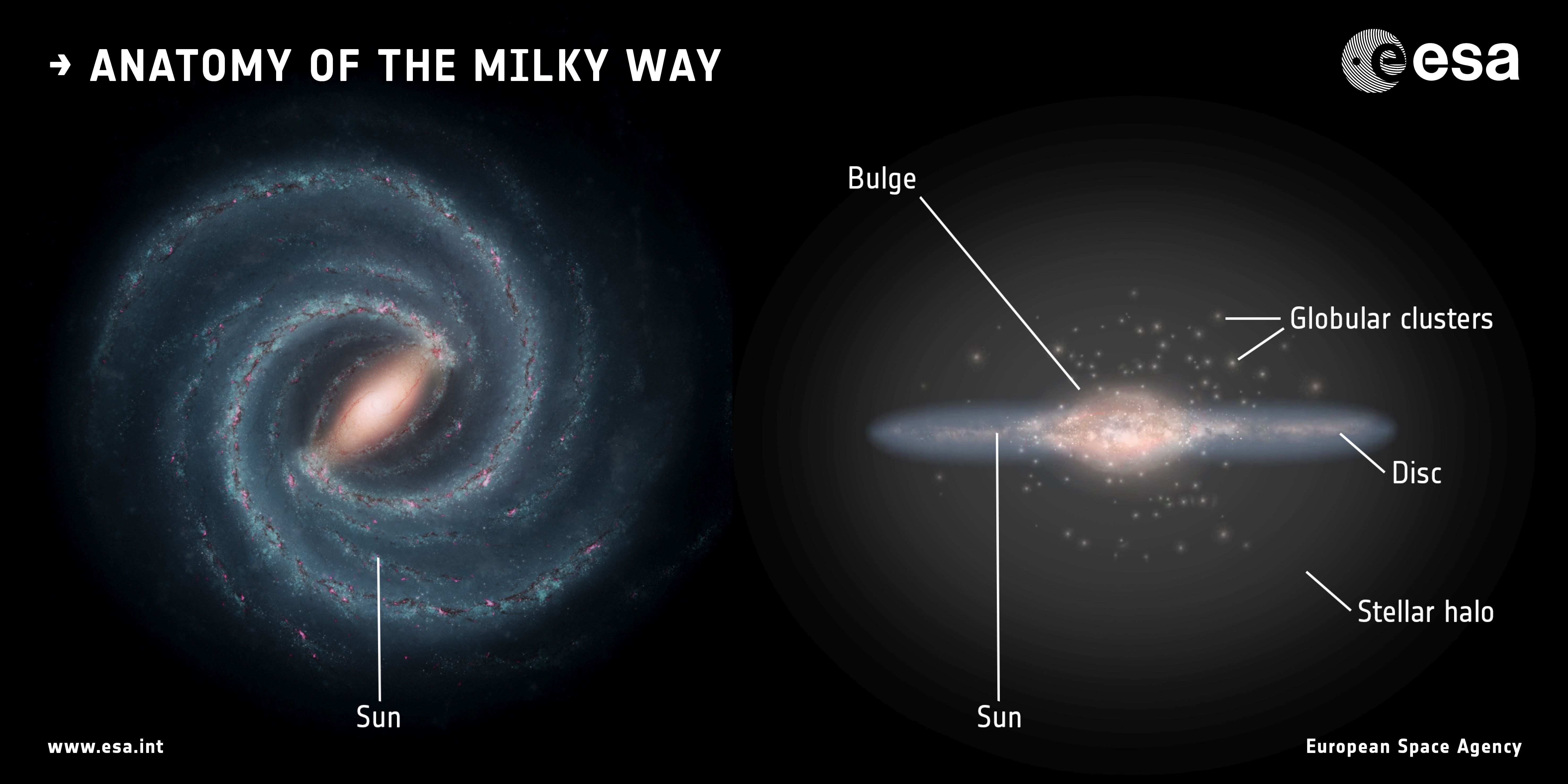 Anatomy of the Milky Way