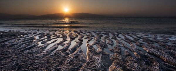 Buried deep under the Dead Sea, the only way to stay alive is by eating the dead