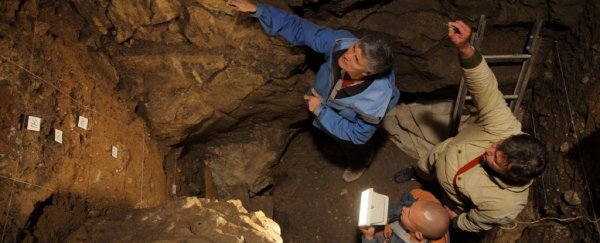 Scientists just confirmed the discovery of the first ever Denisovan skull fragments