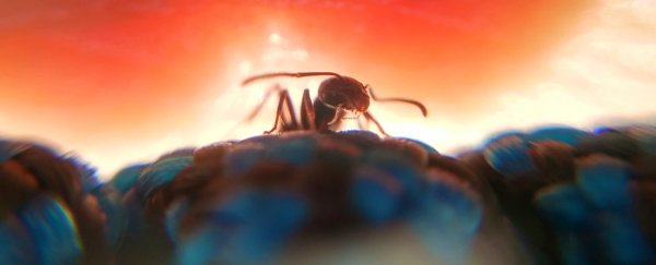 There's something scientists want you to know about that alarming insect armageddon