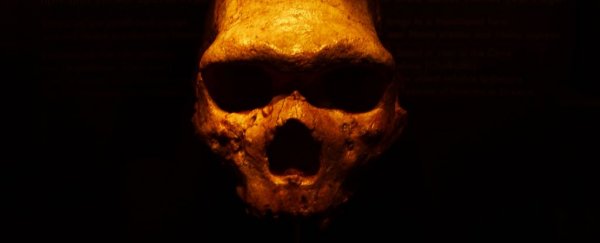 Grisly cave discovery suggests climate change turned Neanderthals into cannibals