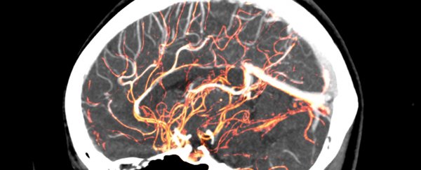 Crazy new experiment shows human brains can detect Earth's magnetic field