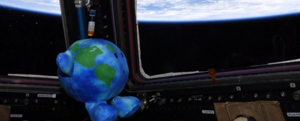 Astronauts on the space station liked SpaceX's 'Earthy' toy so much they kidnapped it