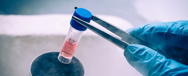Group of world's top researchers call for an urgent moratorium on gene-edited babies