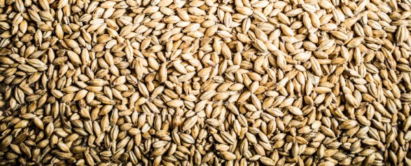 The rise of farming and soft foods might have forever changed the way humans speak