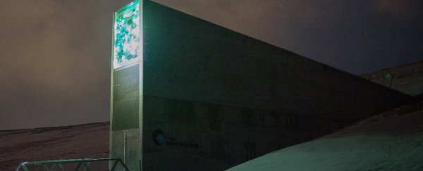 Microsoft is hiding open source code in an apocalypse-proof storage facility