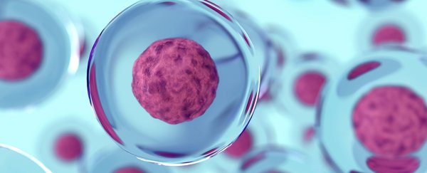 Scientists create an artificial cell that makes its own energy by photosynthesising