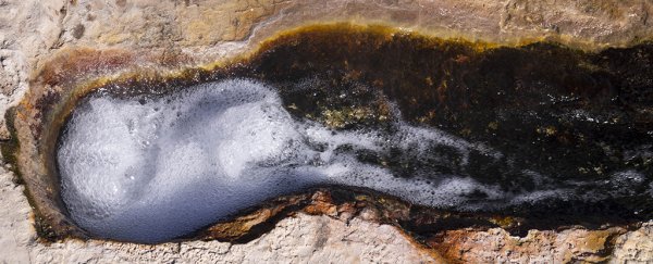 Bacteria appear to be traveling huge distances through an unknown airborne mechanism
