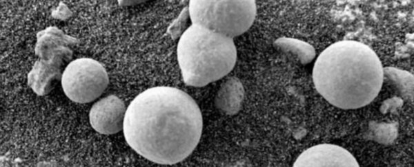 Here's the truth about that photo of 'mushrooms' growing on Mars