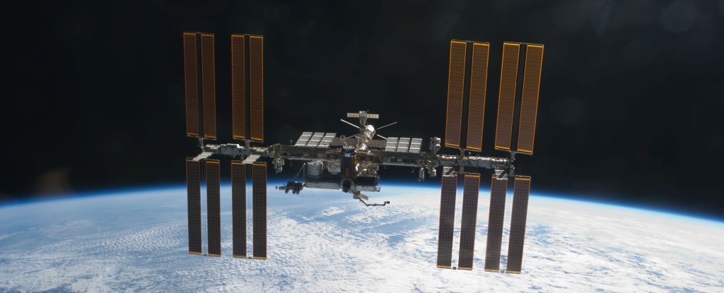 Strange Earth organisms have somehow survived living outside the ISS