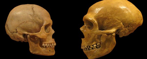 We Have Been Wrong About a Key Feature of Neanderthals' Appearance