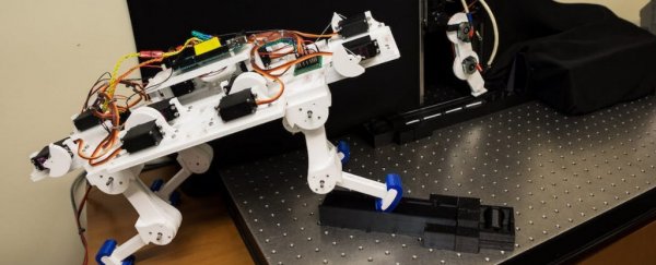 A robot leg learned to walk by itself without programming, in a scarily short time