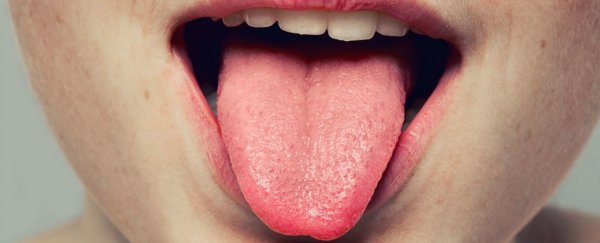 Scientists identify the location of 'taste' in your head, and it's not the tongue