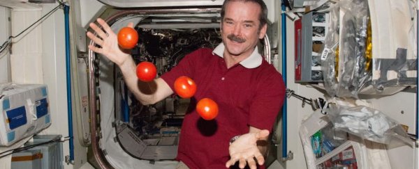 Gravity influences how we make decisions, says new study