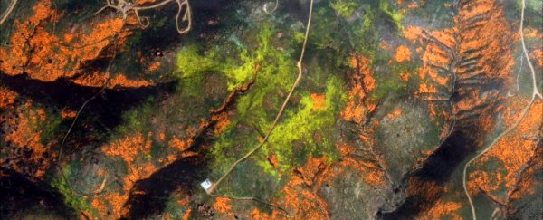 You need to see these satellite photos of California's dazzling 'super bloom'