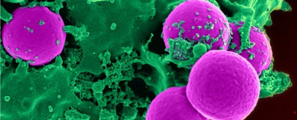 Scientists have found an entirely new way to slow autoimmune diseases