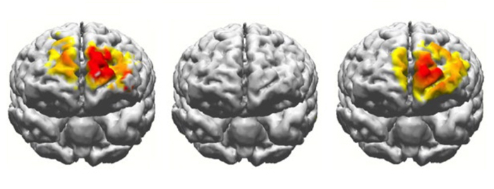 016 brain working memory stimulation 1