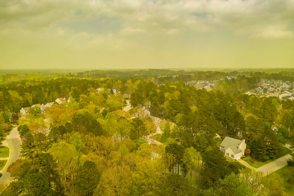 pollen drone shot 2