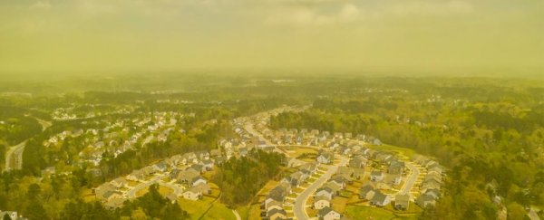 Eerily beautiful photos show a scary 'pollenpocalypse' suffocating North Carolina