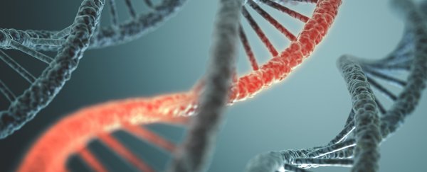 DNA and RNA may have existed together before life began on Earth