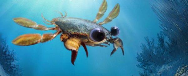 This 90-million-year-old crab chimera is a beautiful mess of an animal
