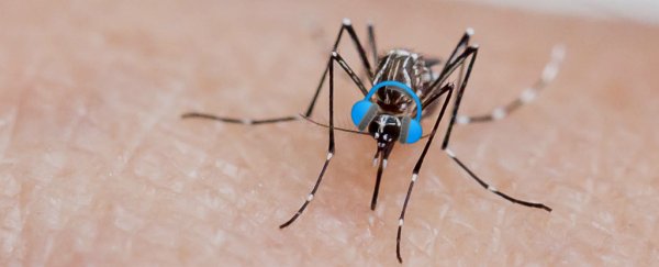 Blasting this Skrillex track will reduce mosquitoes' desire to bite, study finds