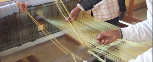 Gene-hacked bacteria are making spider silk so strong it could build space suits
