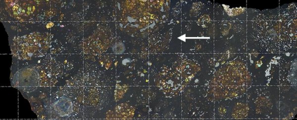 A piece of comet has been discovered in the last space object you'd think to check