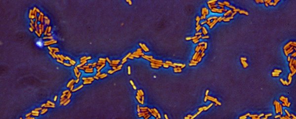 Dozens of people are falling ill across 5 states in a mysterious E. coli outbreak