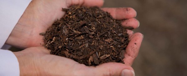 Washington just passed a bill to become the first US state to legalise human composting