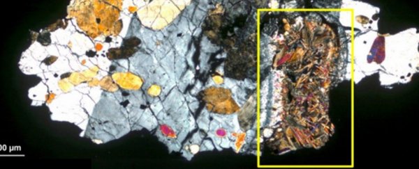 Controversial paper suggests an old meteorite could contain active microbial life from Mars