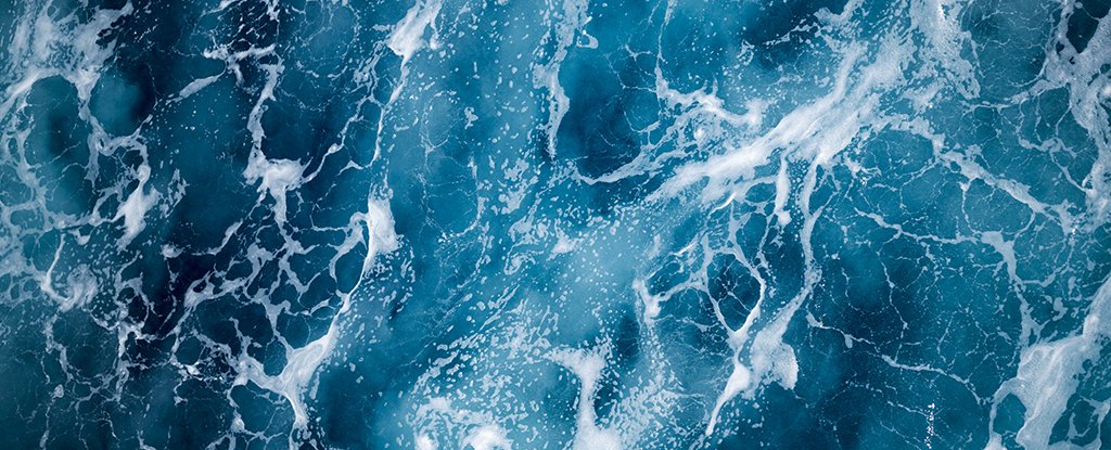Scientists just found a fascinating oil-eating bacteria in the ocean's ...