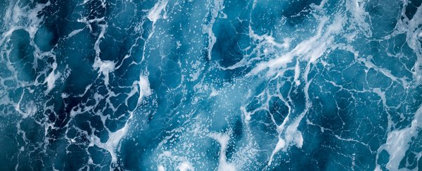 Scientists just found a fascinating oil-eating bacteria in the ocean's deepest trench