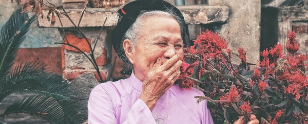 That weird link between sense of smell and death risk continues to defy explanation