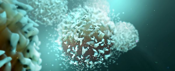 New kind of cancer 'vaccine' teaches the immune system to destroy tumours