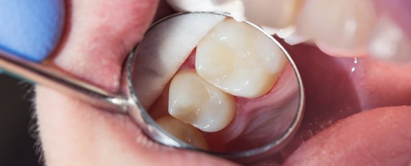 Our immune system could actually be contributing to dental cavities