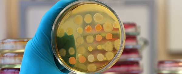 Rarely seen giant viruses have been caught using CRISPR as a weapon