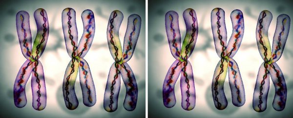 Growing up poor not only affects your health, it changes as many as 1 in 13 genes